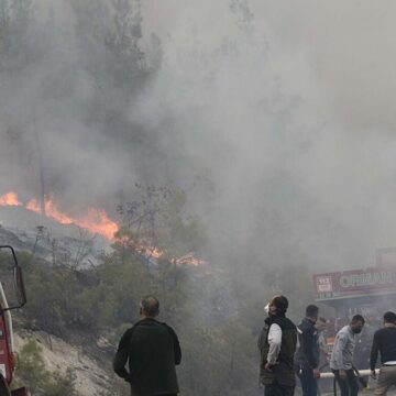 Balıkesir’deki orman yangını 15 saat sonra kontrol altında