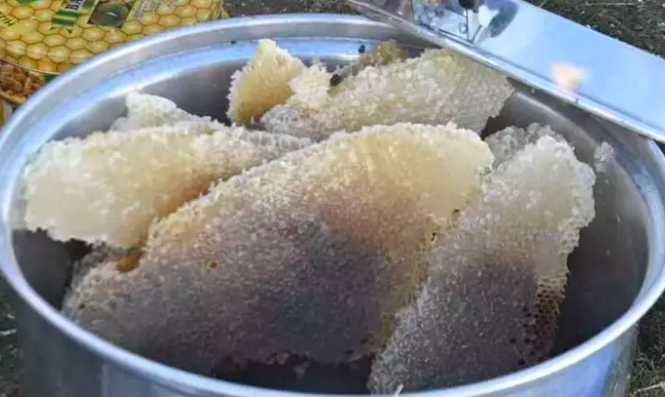 Bitlis'te en tatlı hasat başladı: Kilosu 2 bin liradan satılıyor