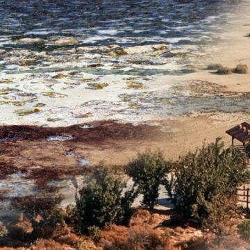 Bu görüntüler Mars’tan değil Ege’den: Bafa Gölü ölüyor