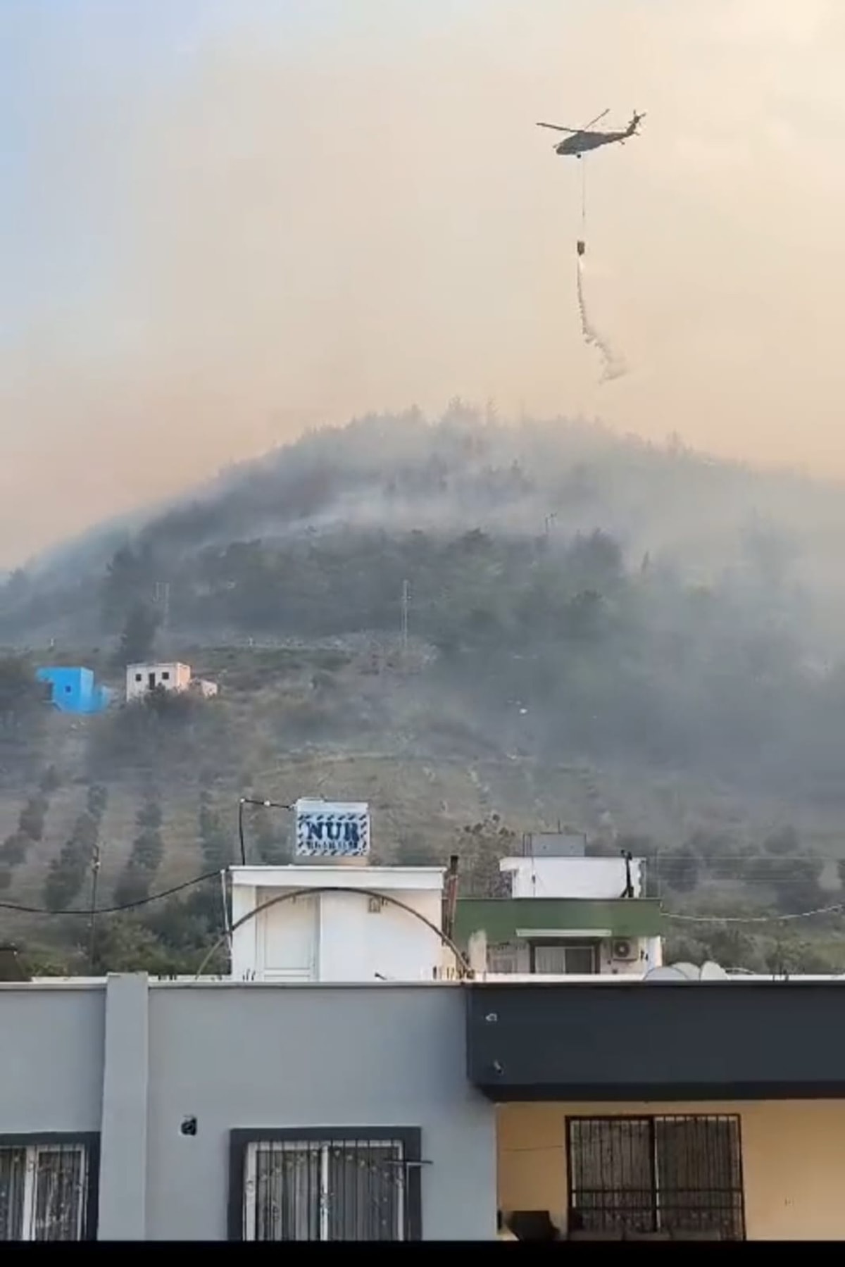 Hatay'da orman yangını: Alevler yayıldı