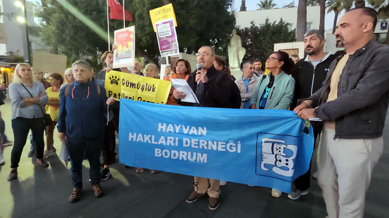Hayvanseverlerden 'kanlı yasa' eylemi