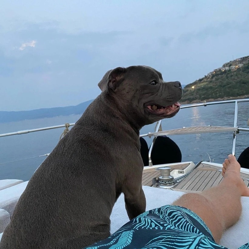 Kıvanç Tatlıtuğ'dan gözyaşlarına boğan pozlar