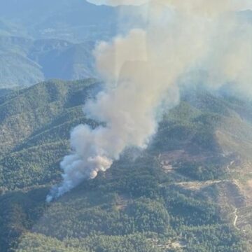 Muğla’da orman yangını: Müdahale sürüyor…