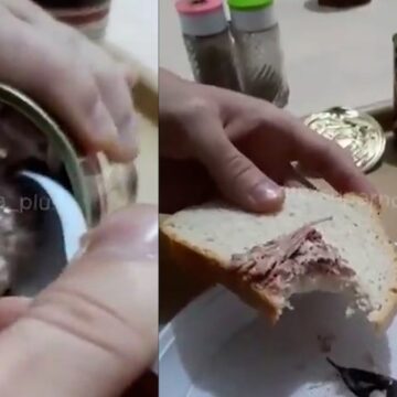 Rus askerinin ‘kardeş ülkeden’ aldığı konserveden köpek eti çıktı