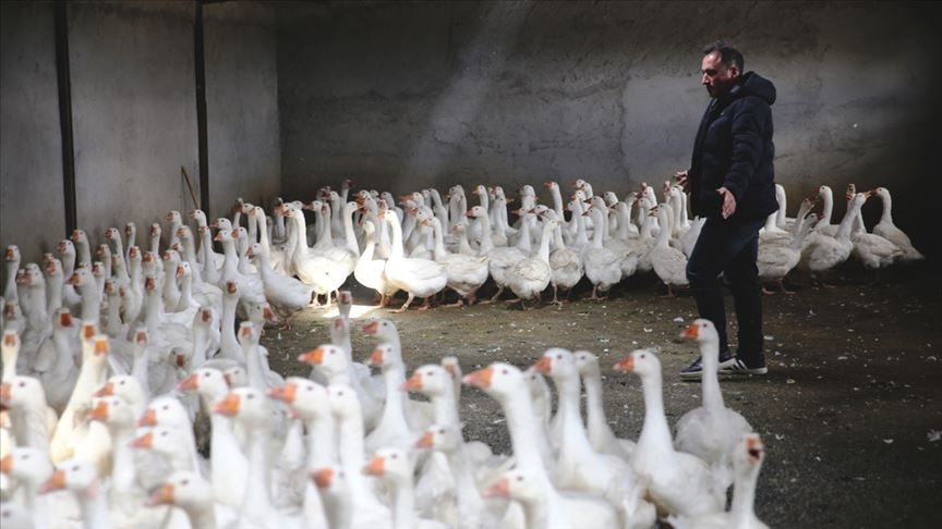 Türkiye'nin en büyüğüydü: Gıda devi iflasın pençesinde