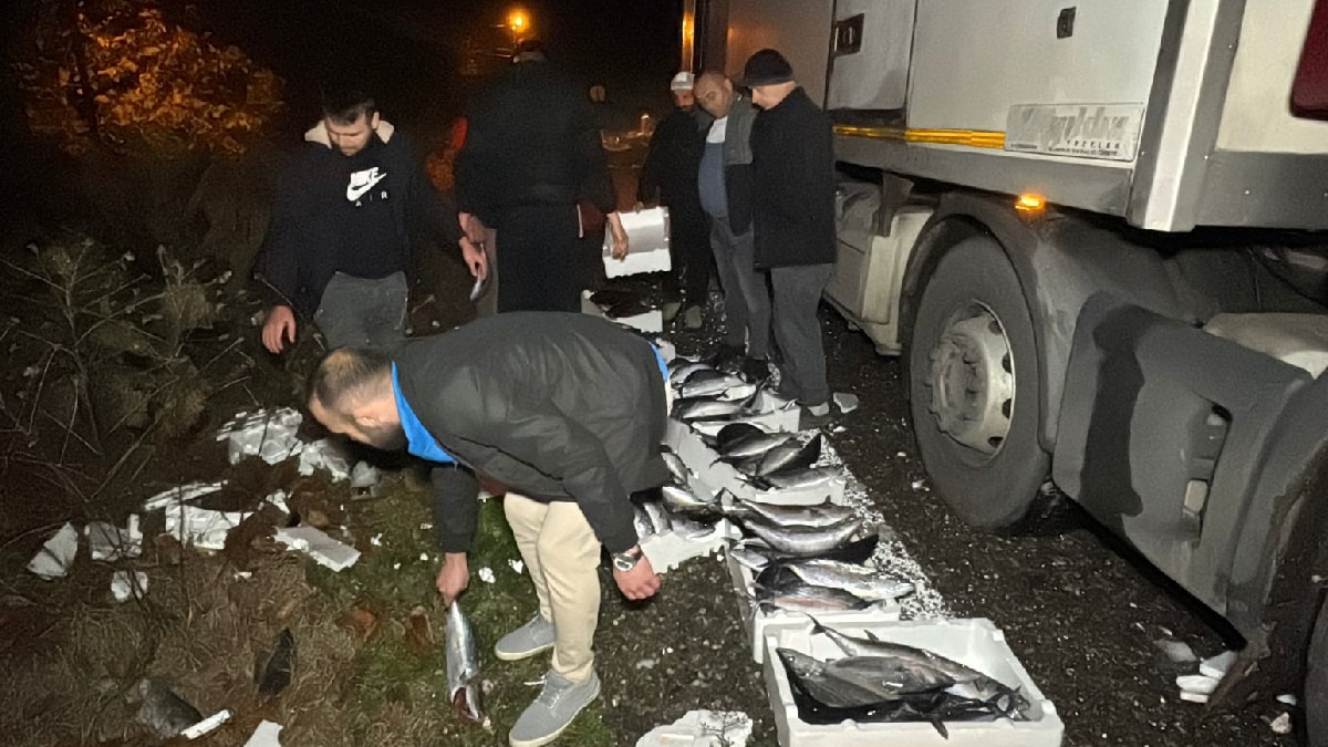 Yol palamutlarla doldu! Zamanla yarıştılar