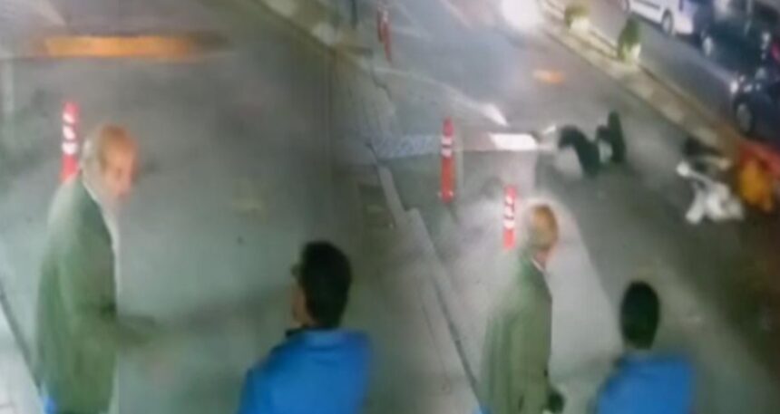 Yolun karşısına geçen kadına motokurye çarptı