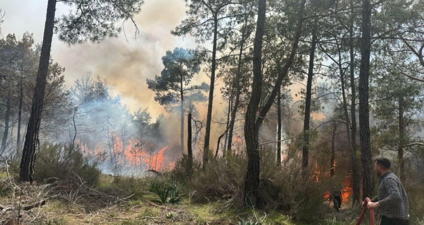 Antalya’da orman yangını: Müdahale sürüyor