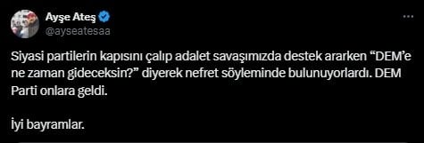 Ayşe Ateş'ten MHP'ye DEM Parti tepkisi