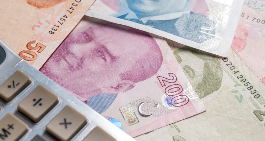 E-Devlet’te bu üç harfi görenlere kötü haber: SGK Uzmanı duyurdu, Emekli maaşınızı faiziyle geri ödeyeceksiniz!