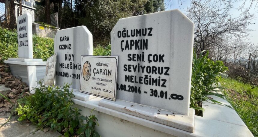 Evcil hayvanlar için 2 bin 500 liraya özel mezar yeri: Papağan da gömüldü tavşan da