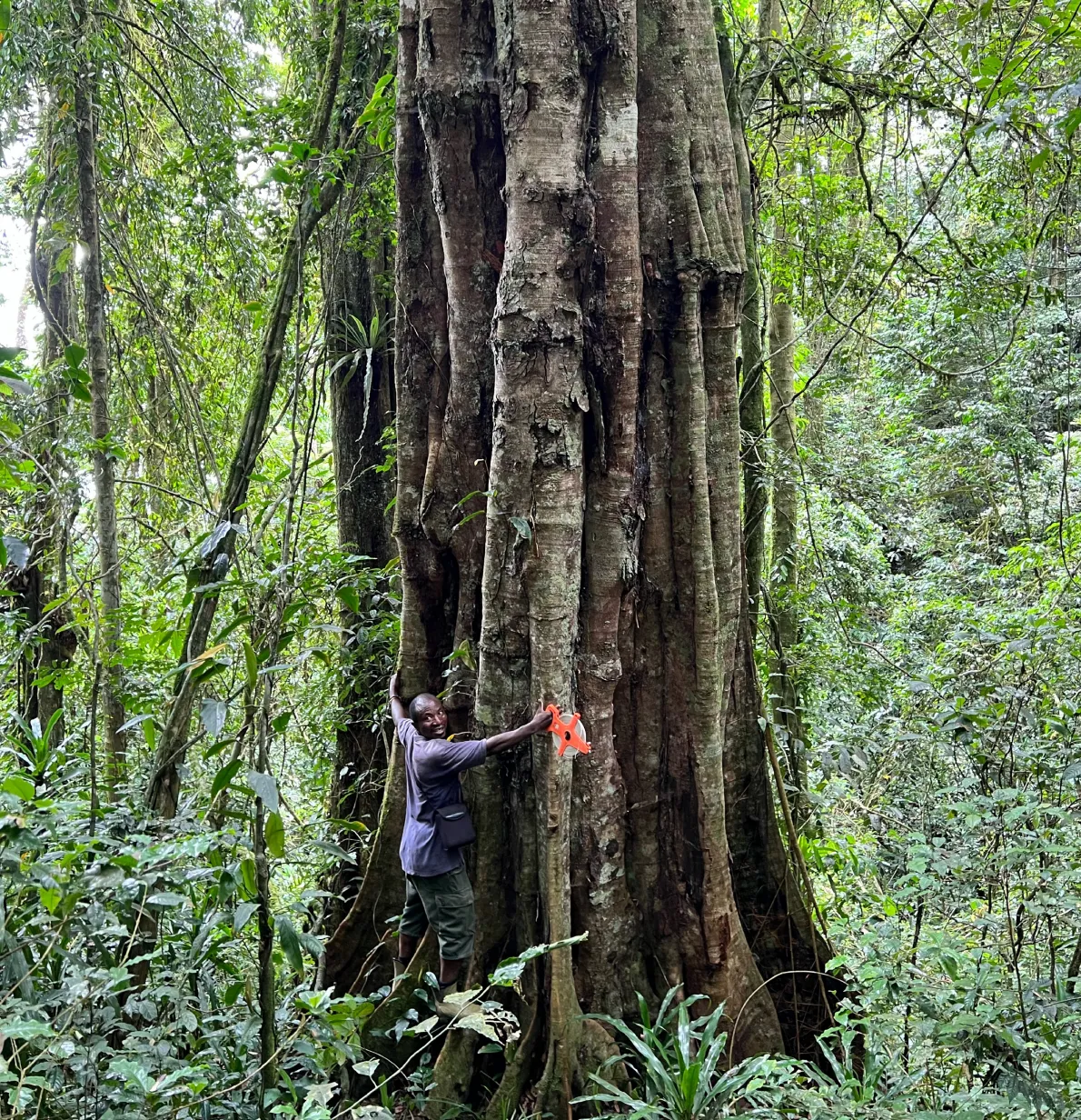 Gizemli tür keşfedildi! 3 bin yıla kadar yaşayabiliyor