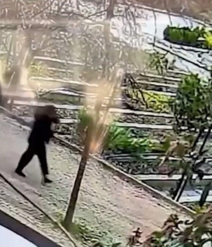 Mimar Ece Gürel'in ölümündeki sır: Ayahuasca ritüeli mi?