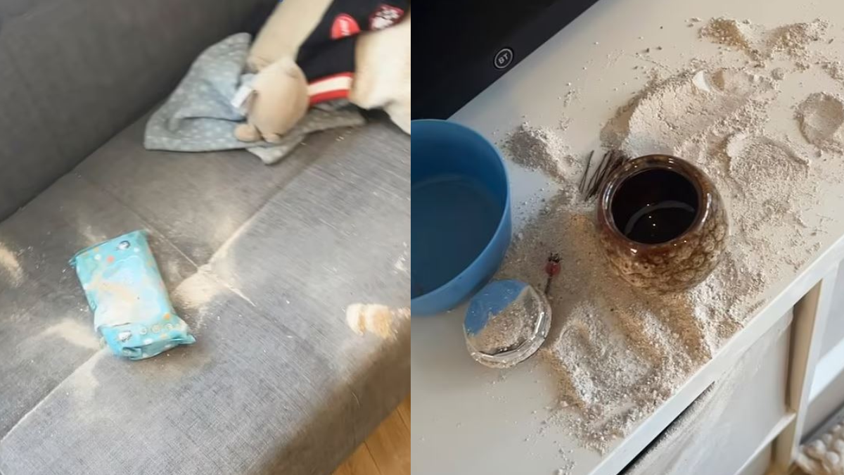 1 yaşındaki çocuk dedesini yedi