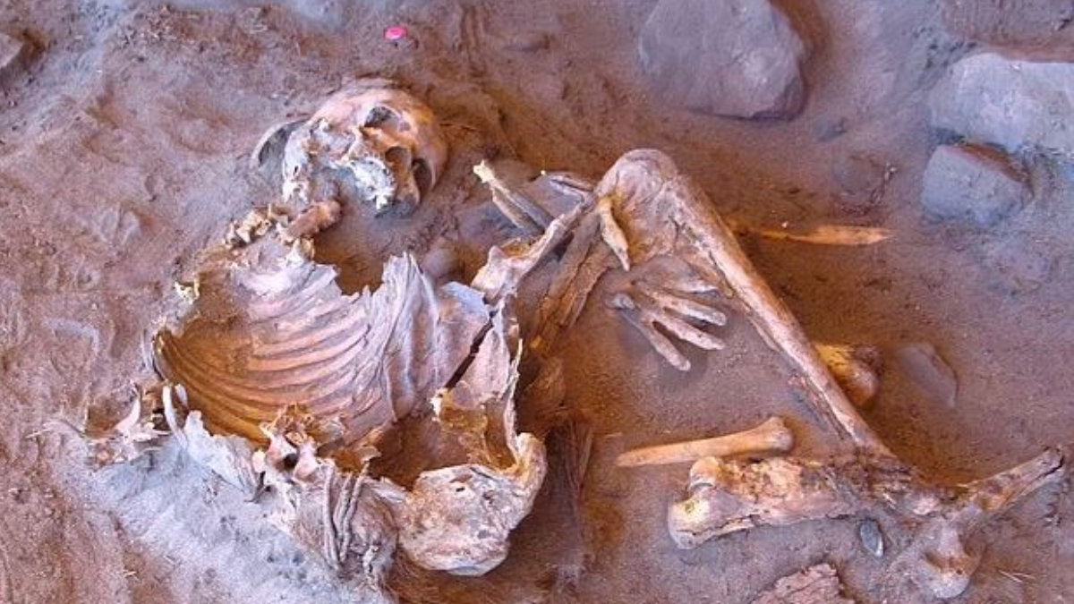 2 kadın mumyasından insan soyağacını değiştirecek DNA keşfedildi