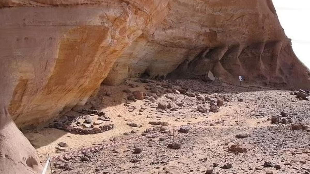 2 kadın mumyasından insan soyağacını değiştirecek DNA keşfedildi
