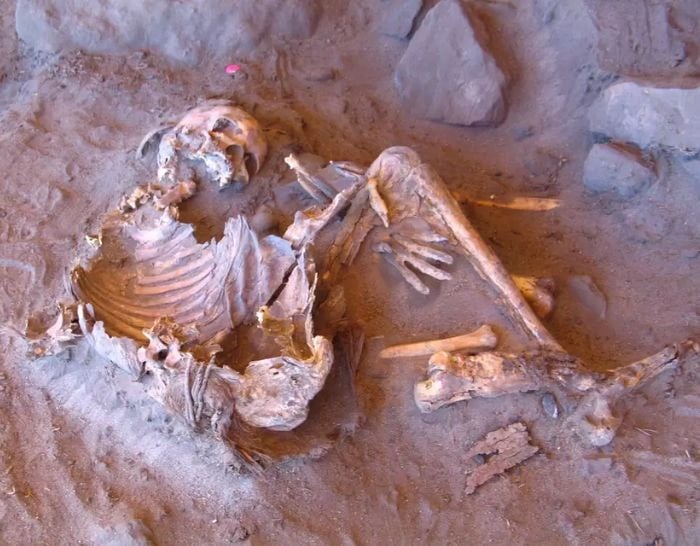 7 bin yıllık DNA gizli tarihi aydınlattı: Çöl değilmiş...