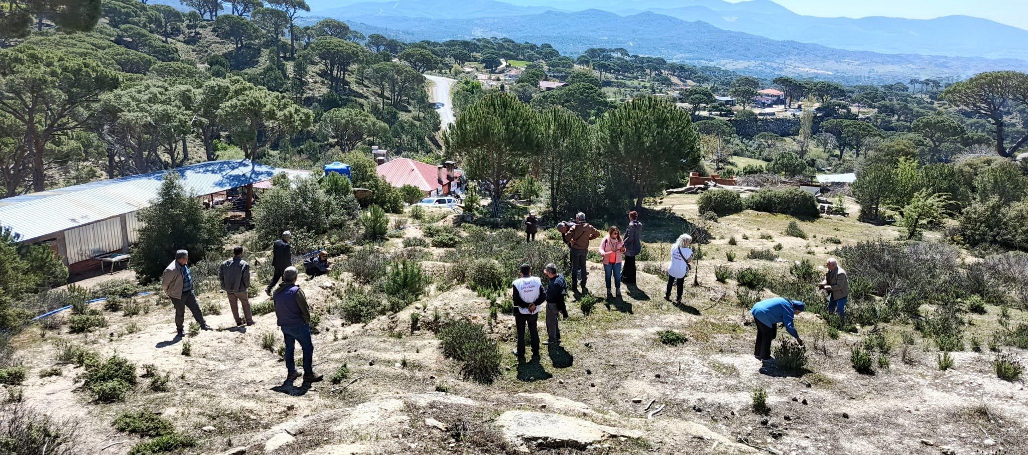 Aydın’ın cennet orman köyleri maden rantı uğruna böyle yok oluyor!