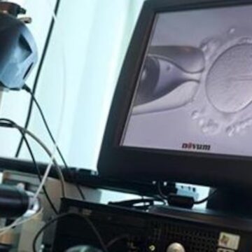 Benzersiz skandal! Bebek merkezinde embriyolar karıştı, kadın kan bağı olmayan bebeği doğurdu