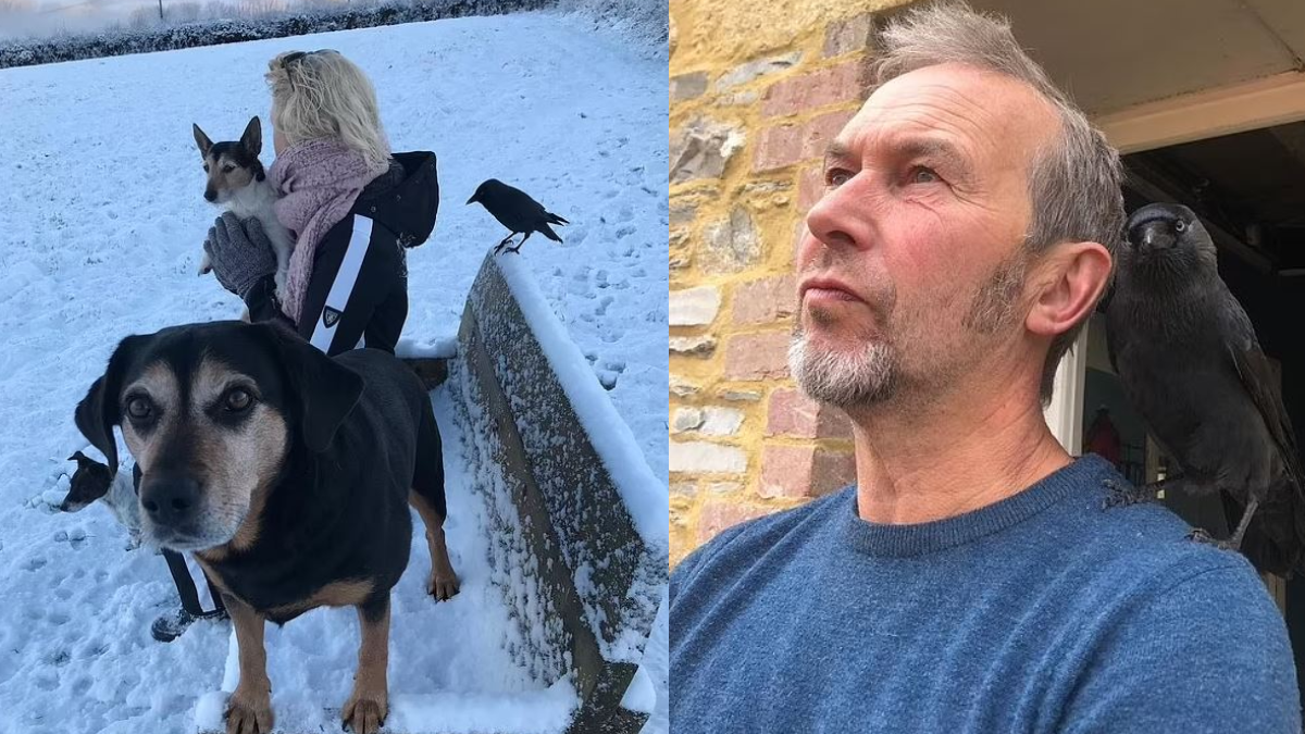 Böyle komşu düşman başına! Aldıkları arsa hayatlarını cehenneme çevirdi