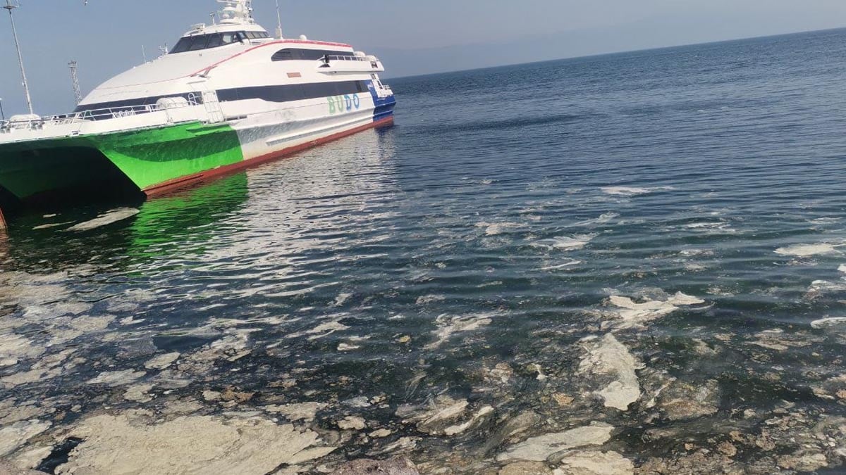 Bursa'da tedirgin eden görüntü