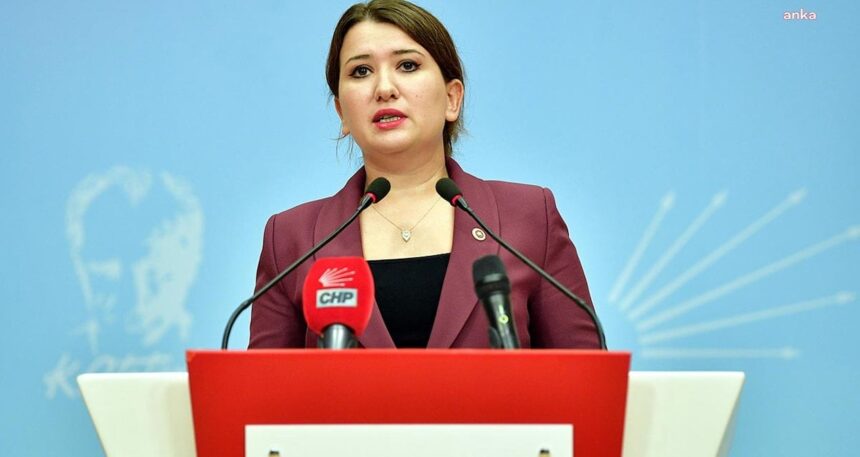 CHP’li Gökçen, İzmir’deki öğretmenin atamasının iptalini Meclis gündemine taşıdı