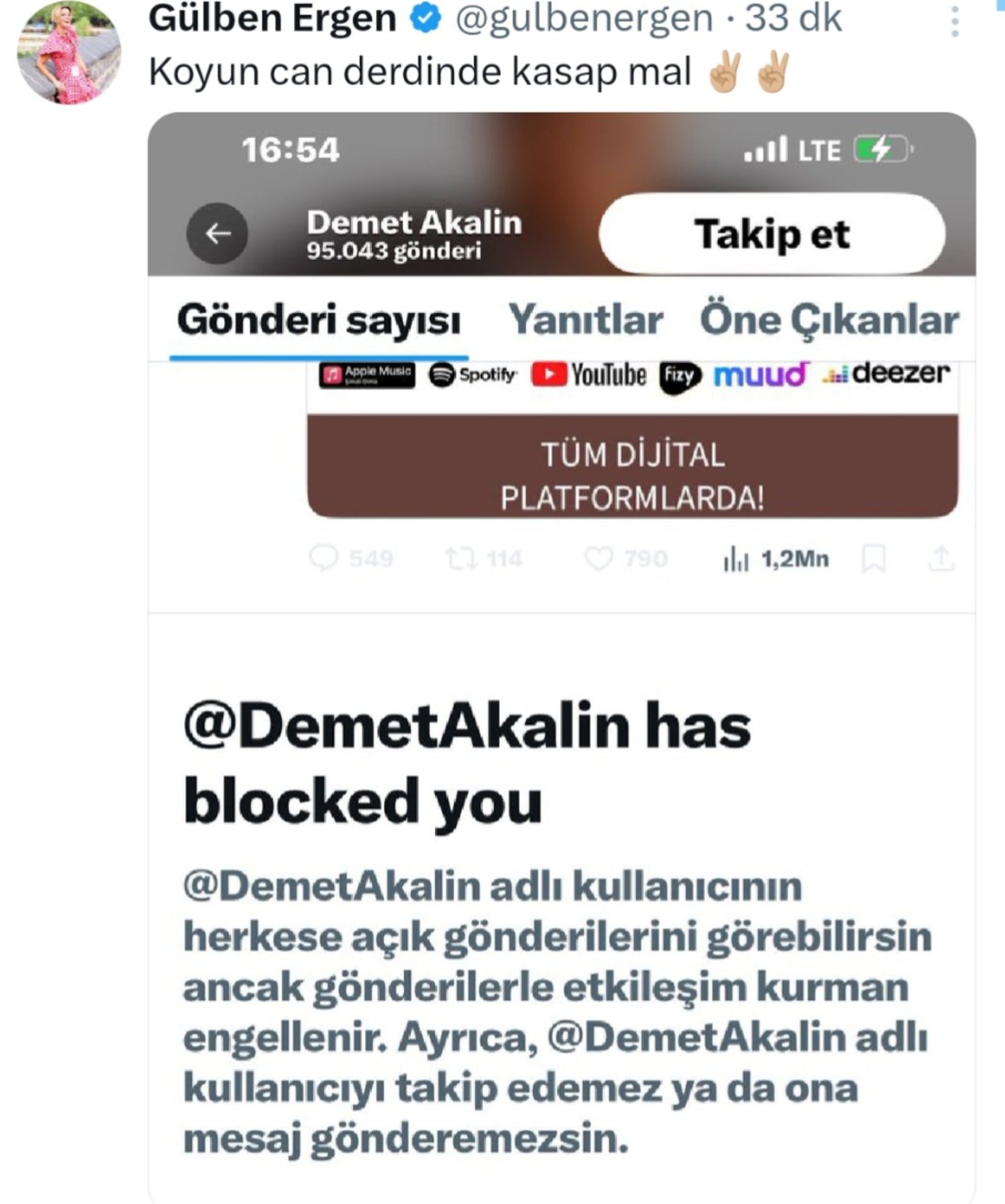 Gülben Ergen ve Demet Akalın arasındaki kriz büyüdü