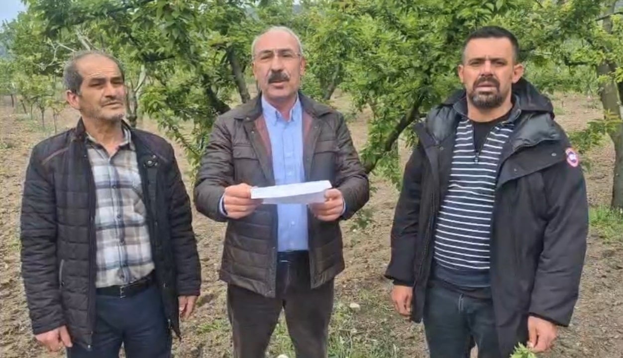 İznik Ovası'nda don felaketi: Çiftçimizin selası verildi, zarar 1 milyarın üzerinde!