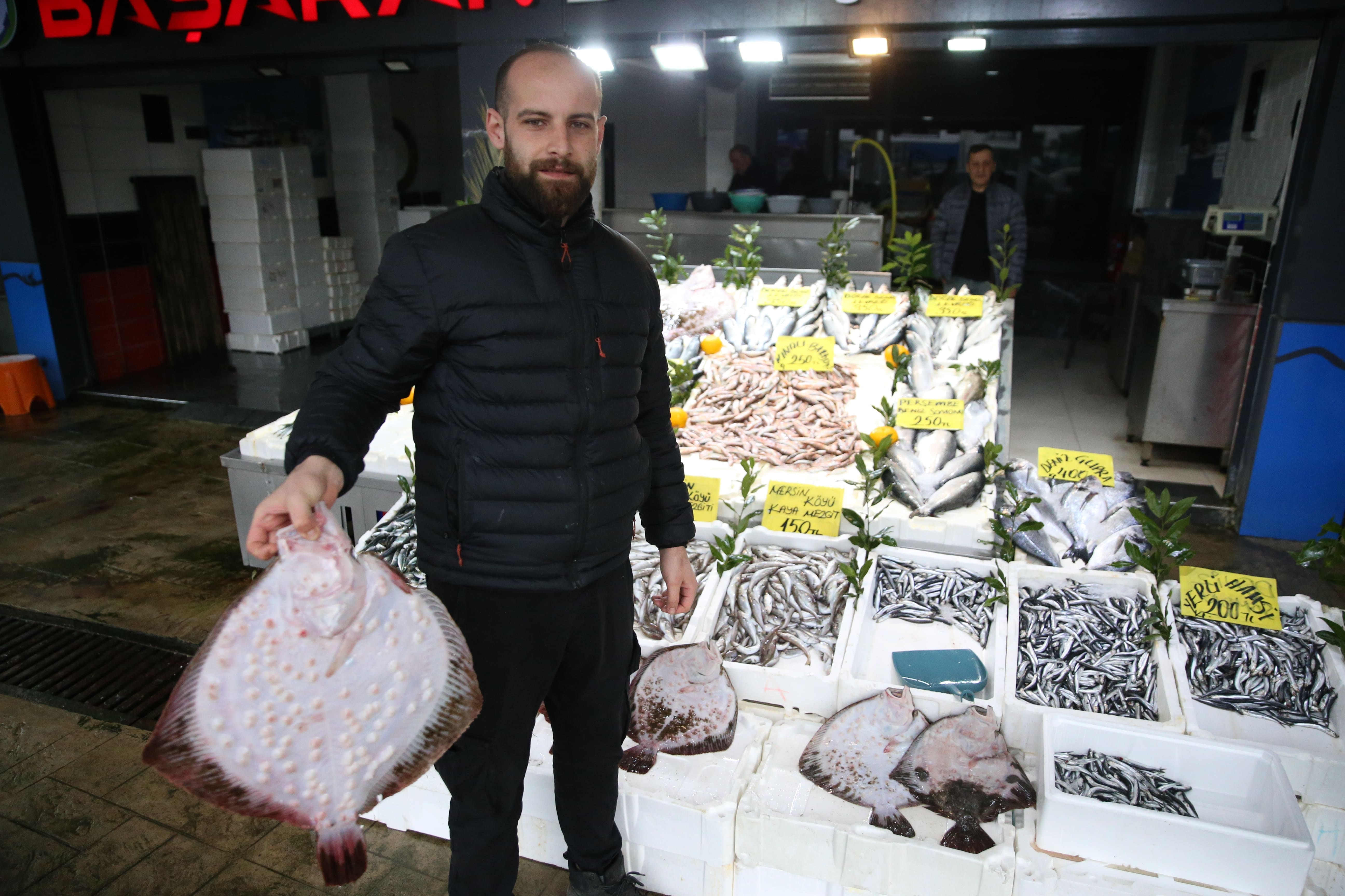 Karadeniz'de balık bolluğu: Palamut ucuza, kalkan ise yarı fiyatına satılıyor!