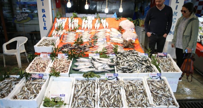 Karadeniz’de balık bolluğu: Palamut ucuza, kalkan ise yarı fiyatına satılıyor!
