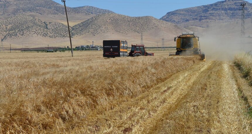 Mardin’de 1 milyar TL’lik buğday vurgunu: 9 tutuklama