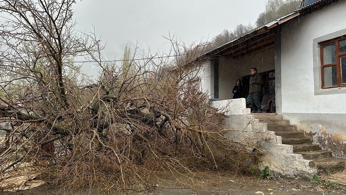 Okulların tatil edildiği şehirde evlerin çatısı uçtu, ağaçlar kökünden koptu!