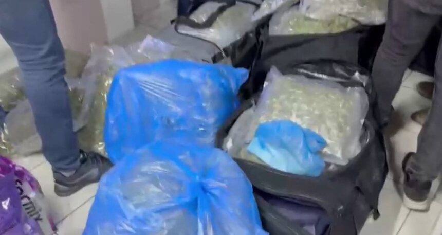 Petshopa baskın yapıldı: 50 milyonluk uyuşturucu çıktı