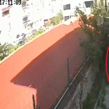 Sahiplendiği köpekleri öldüren doktor tutuklandı: Vahşet kamerada