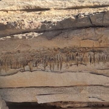 Tanımlanamayan mikroorganizma milyon yıllık iz bıraktı