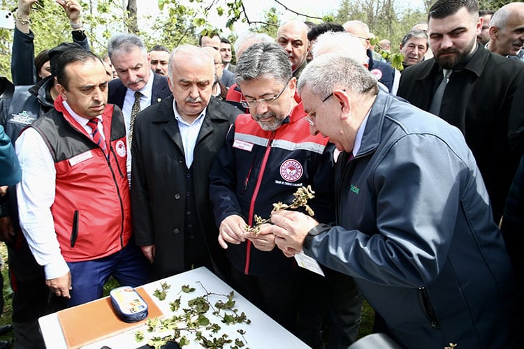 Tarım bakanı açıkladı: İşte bu yaz pahalıya yiyeceğimiz 16 meyve
