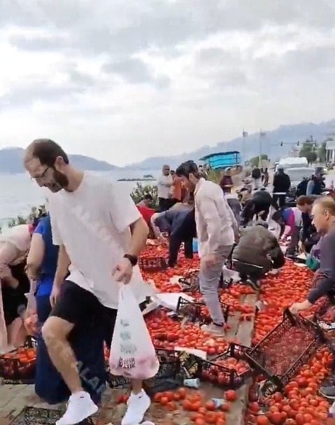 TIR değil vicdanlar devrildi! Yola saçılanları yağmaladılar