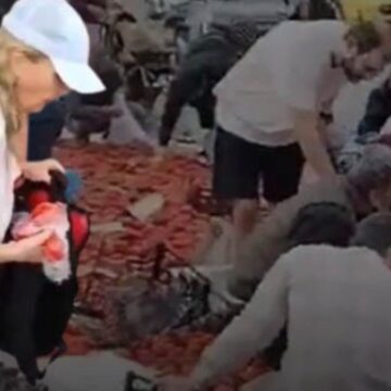 TIR değil vicdanlar devrildi! Yola saçılanları yağmaladılar