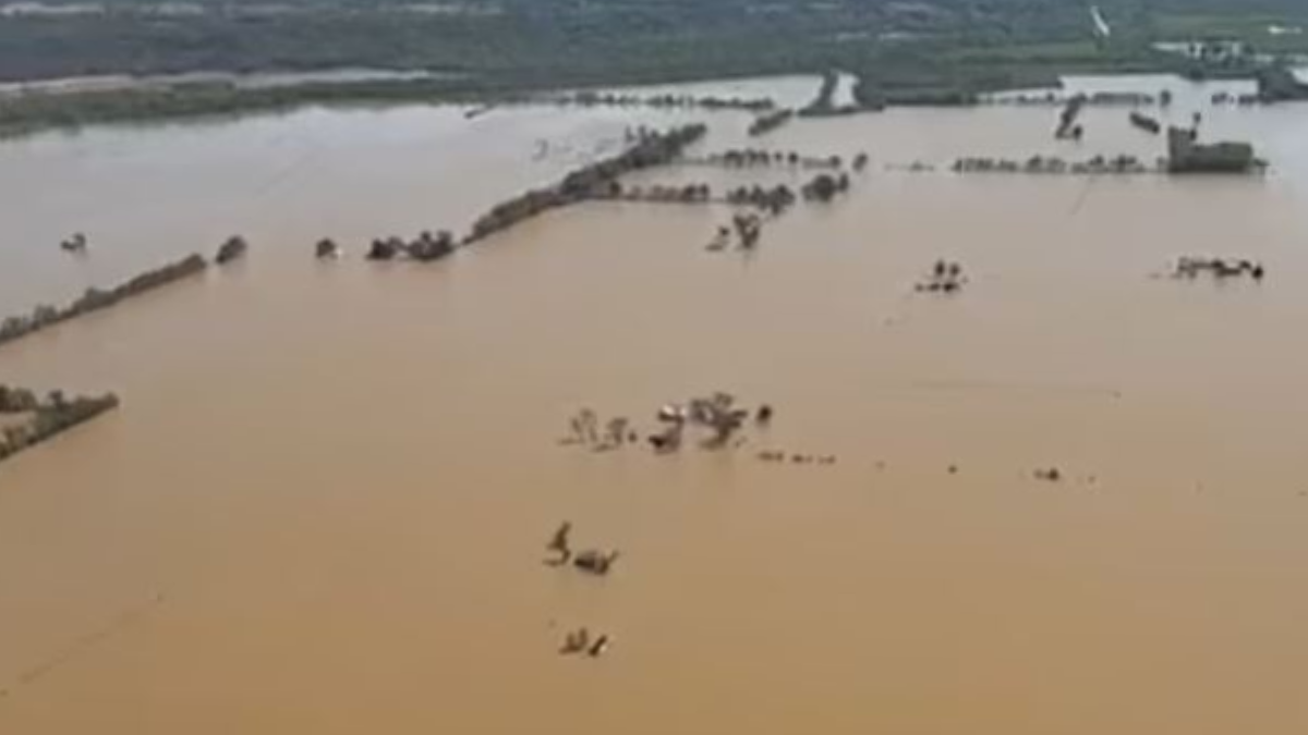 Tüm köy sular altında kaldı, o ev kupkuru ayakta: Aile sistemi saklıyor