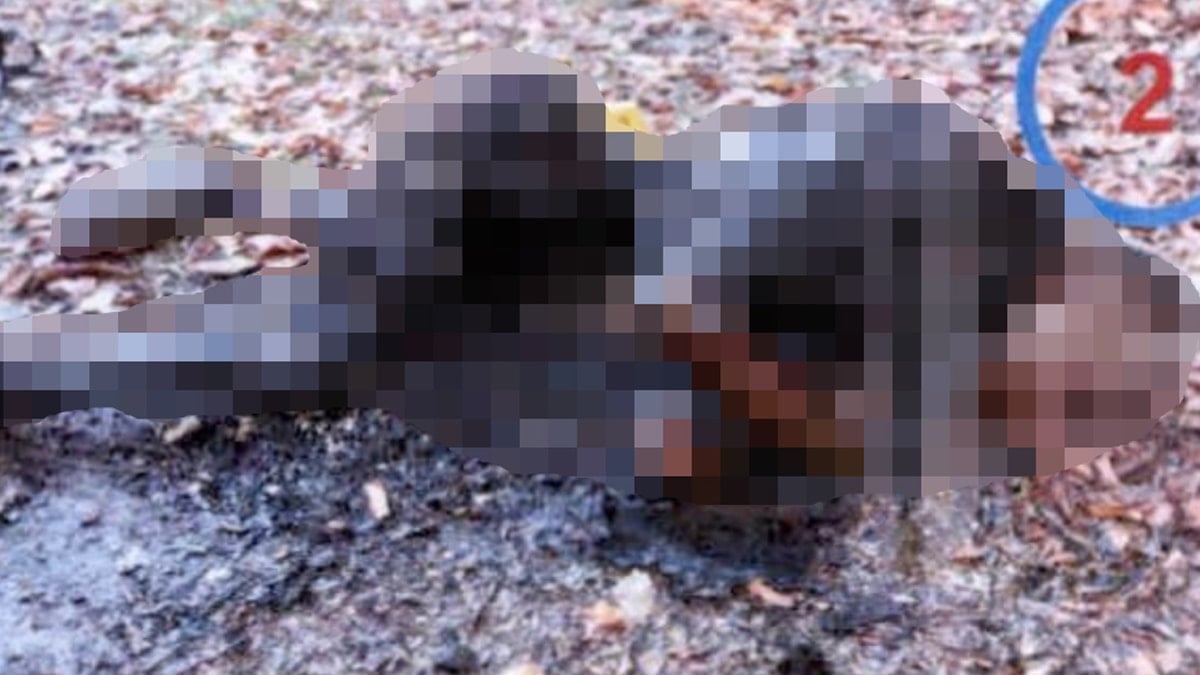 Yanmış cesedi bulunan Afgan madenci davasında karar