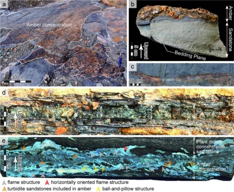 116 milyon yıllık kehribarda saklı... Bilim insanları en eski tsunami kanıtını buldu