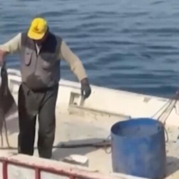 320 ahtapot tuzağına el konuldu
