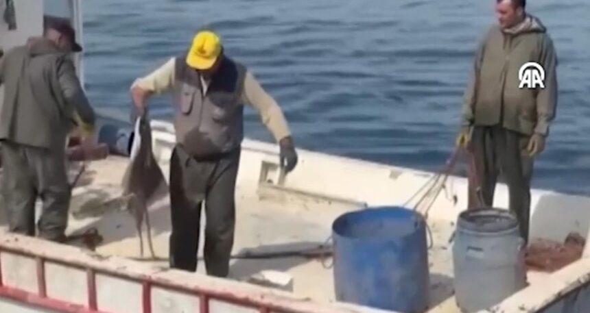 320 ahtapot tuzağına el konuldu