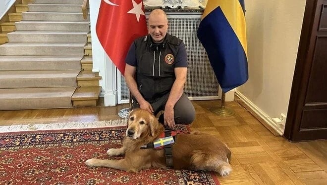 6 Şubat depremlerinde 18 vatandaşı kurtaran Kahraman Köpek Killian hayatını kaybetti