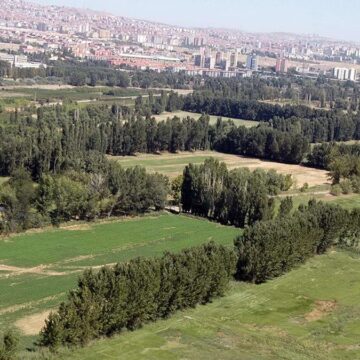 Adını da sattılar