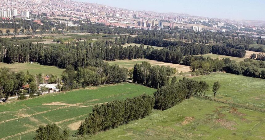 Adını da sattılar