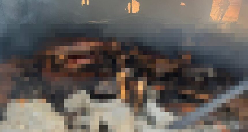 Ağılda çıkan yangında 42 küçükbaş öldü