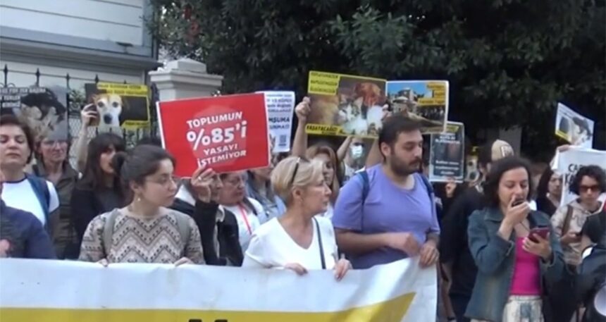 AYM kararına tepkiler çığ gibi büyüyor