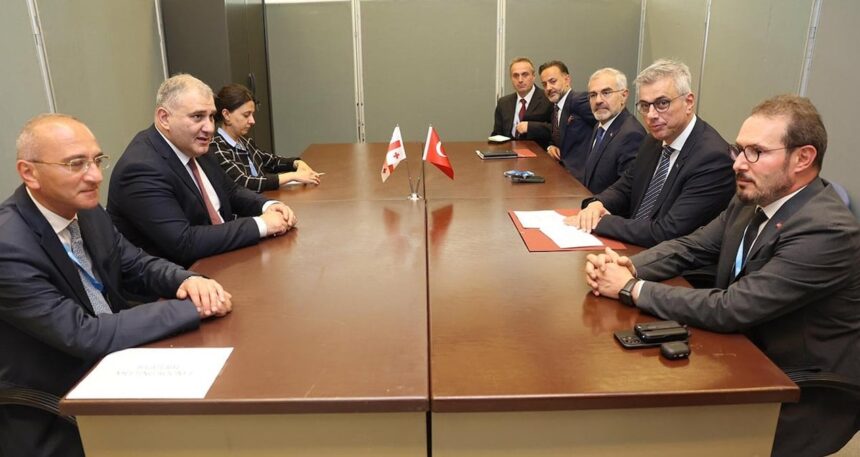 Bakan Memişoğlu Gürcistanlı mevkidaşı Sarjveladze ile bir araya geldi