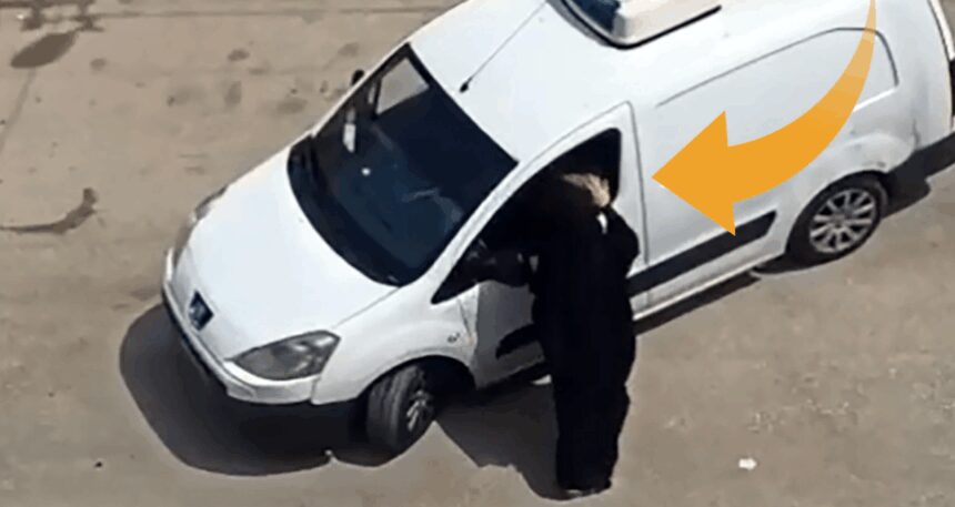 Bu zihniyet öldürür: ‘Kocam sever de döver de’
